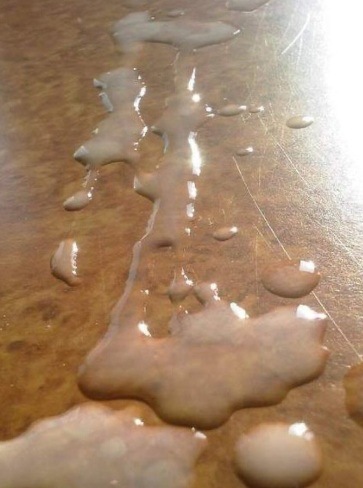 CALL_me_goddess Populära bilder 5942