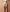 Kor_Cat All Nude Photo 7