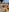 OSHUN_Let's be mischievous on the beach (Packs Nudes Hot) 🔥😎💦💦🌊图片 4