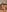 Ragdoll131 Nude tease Pic