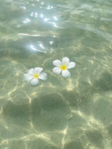 xxxRanaxxx Public Pic 5