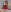 MiaAdams21 queen of hearts 사진
