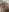 SEXXYLATINCOUPLE1 Feet red Pic