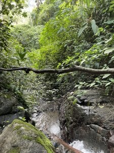 Public de Zarco321  5 Imagens