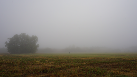 Feral_Berrry_ Public Pic