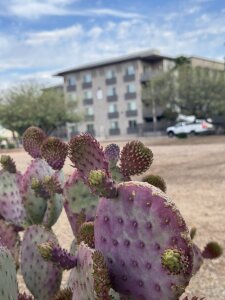 WrldOfMulan Public Pic