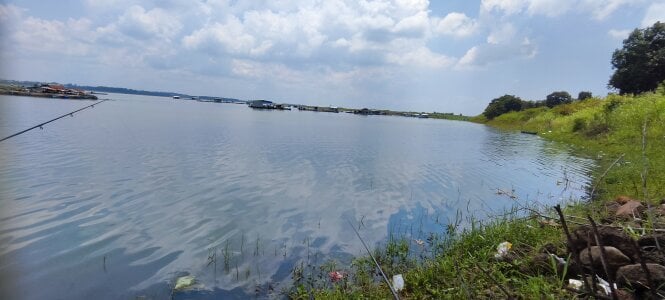 vipzzzxxxxx Public Bilde 2