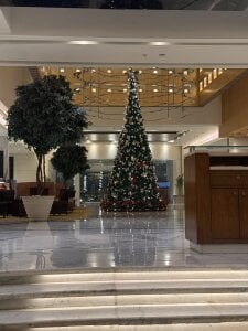 Your_School_Girl_ Me Pic