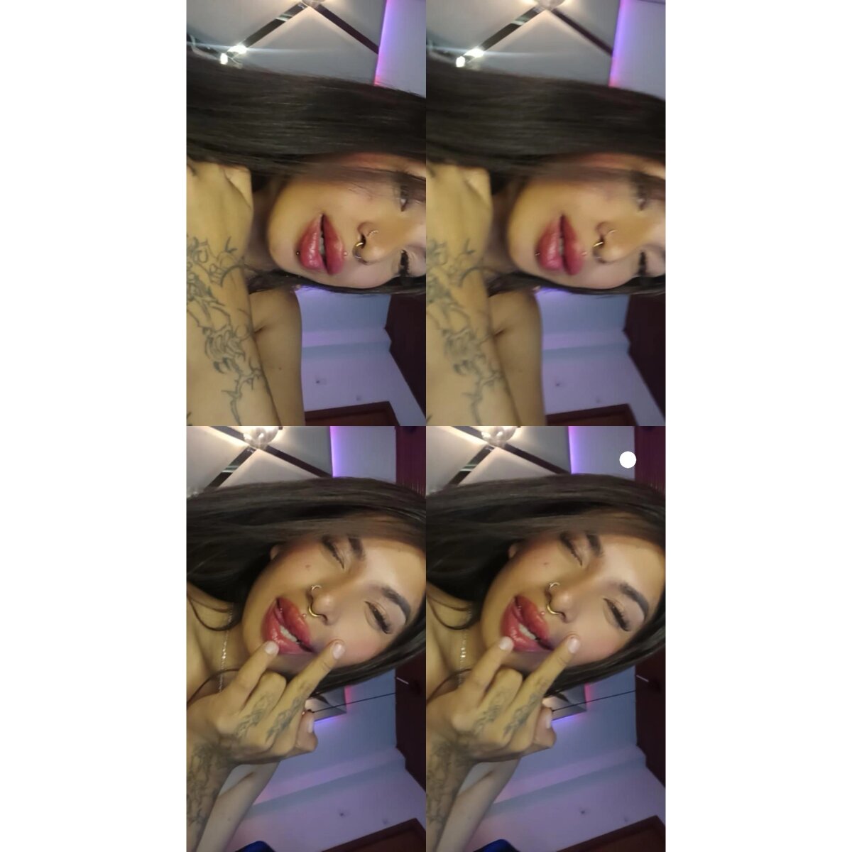 MeelFox Popularna fotka 4059