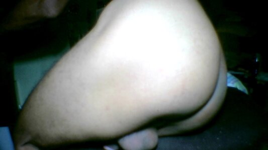 daneht disponivel Poză 2