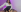 _Ashley_33 I"m your sexy and hot secretary Pic 8