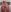 GangBangKitty Hot outfit for gangbang Photo 6