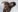 HellenLust more naughty of me XXX Bilde 7