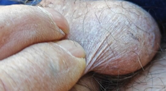 jhonschen's Il mio coccolone Sex Photo 5