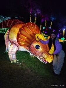 Sofi_cutiee I went to see lights and I want to share it with you 🌸🌲 Εικόνα 3