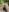 eyesthatsparkle22 Naked in the forests photoshoot ☺️ Fotografie 4