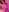Shirley_Thomas Naked Photo 3