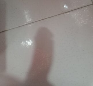 DamiianmのPublicの 6枚の写真