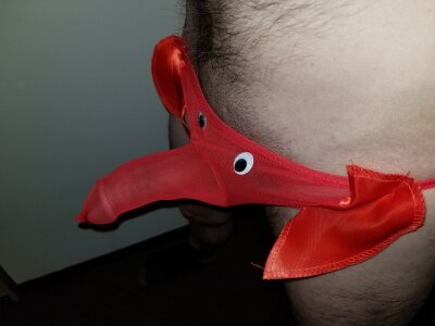 kong_smurfette kullanıcısının Kong albümü -  2 fotoğraf