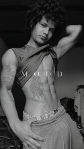 Arthur_1126 stile . fénykép