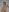 floriamANDjazmin 😈hot and daring session 🔥 Photo 7