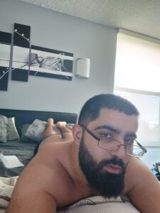 Zayn_Stallion
