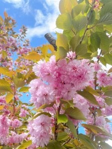 Tomeko-8181のPublicの枚の写真