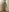 kristina_murr My naked hairy pussy is close Pic 4