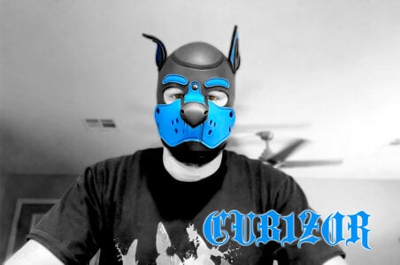 cub1Zor cub1zor Tha Pup Fotka