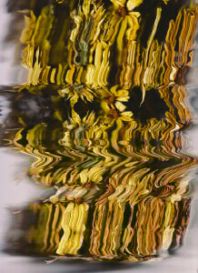 sorry-mom69 the history of flowers Pic 6