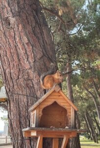 LisaSmiths Flowerss! Pic 3