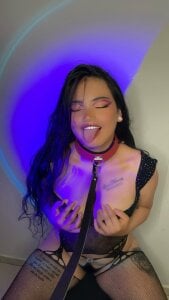 Bloom_Dahlia Public Bilde