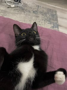 red__dizzy just beautiful photos Gambar 9