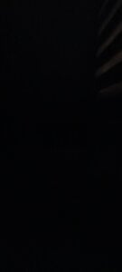 ValiantSemitic: Public ( 5 фото)