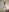 SofiaLopez77のMy two ballsの 4枚の写真
