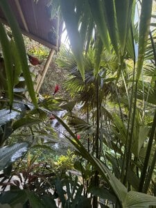 orianasweet_1 Nature! Billede 4