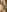 naomi_misoraa HOT NAKED PICS 💗🔥 Pic 3