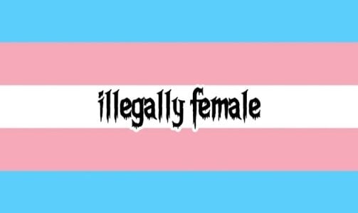 silverbanger3 Tiff зображення 9