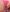 _Bella_Candy_ Brincadeira de leve Photo 3