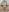Su_Duarte_1Posições图片 8
