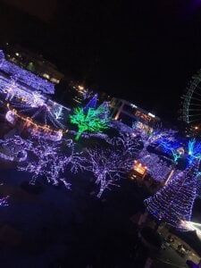 shibuya-bancho 思い出☘️ Pic 3