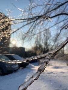 liana_kisses Frosty days😋❄  2. fénykép