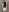 Fortune_888 In shower Photo 5