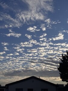 colouredboyfrombelhar About me зображення 4