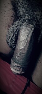 Limpopo_python Yummy  2. fénykép