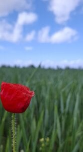 FreezingTie850 Public รูป  2