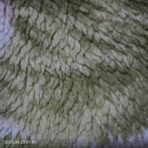 MistrzChief Public Pic