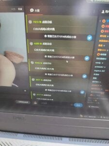 Public de Soft-Sister Foto 2