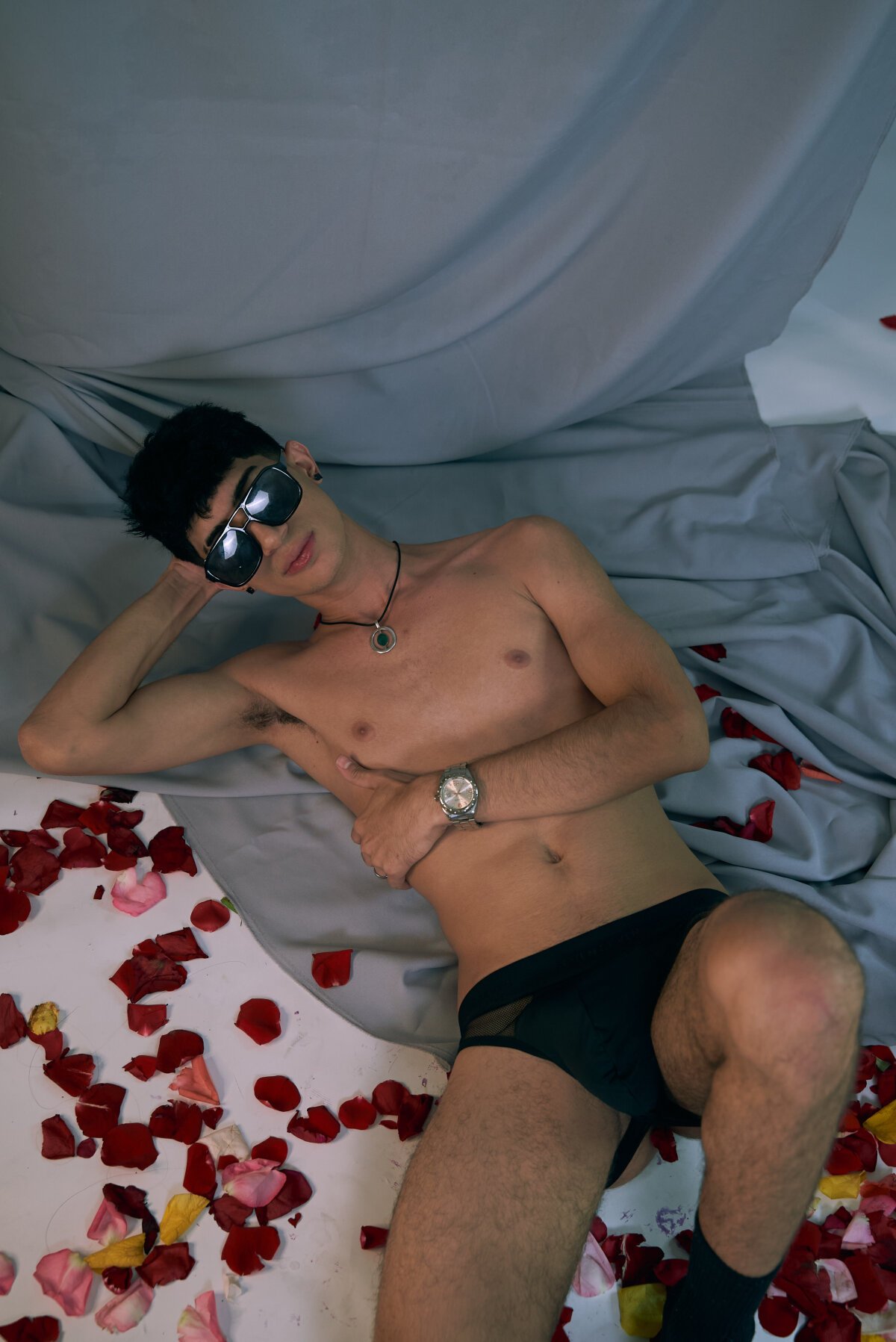 NovaaWheler  9321. kiemelt képe