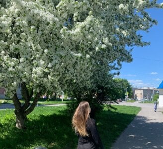 LouieRemeder Public Εικόνα 6